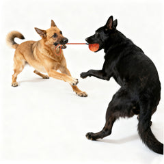 Pup Toy Balls: Chew-Resistant, Durable & Perfect for Fetch – Your Fur Baby’s New Obsession!