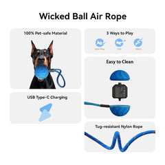 Pup Toy Balls: Chew-Resistant, Durable & Perfect for Fetch – Your Fur Baby’s New Obsession!