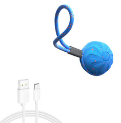 Pup Toy Balls: Chew-Resistant, Durable & Perfect for Fetch – Your Fur Baby’s New Obsession!