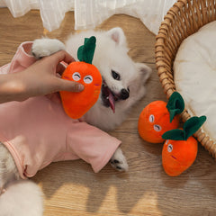 Furry Chew Toys for Dogs & Cats: Soft, Non-Toxic & Durable – Keep Your Fur Baby Happy & Occupied!