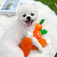 Furry Chew Toys for Dogs & Cats: Soft, Non-Toxic & Durable – Keep Your Fur Baby Happy & Occupied!