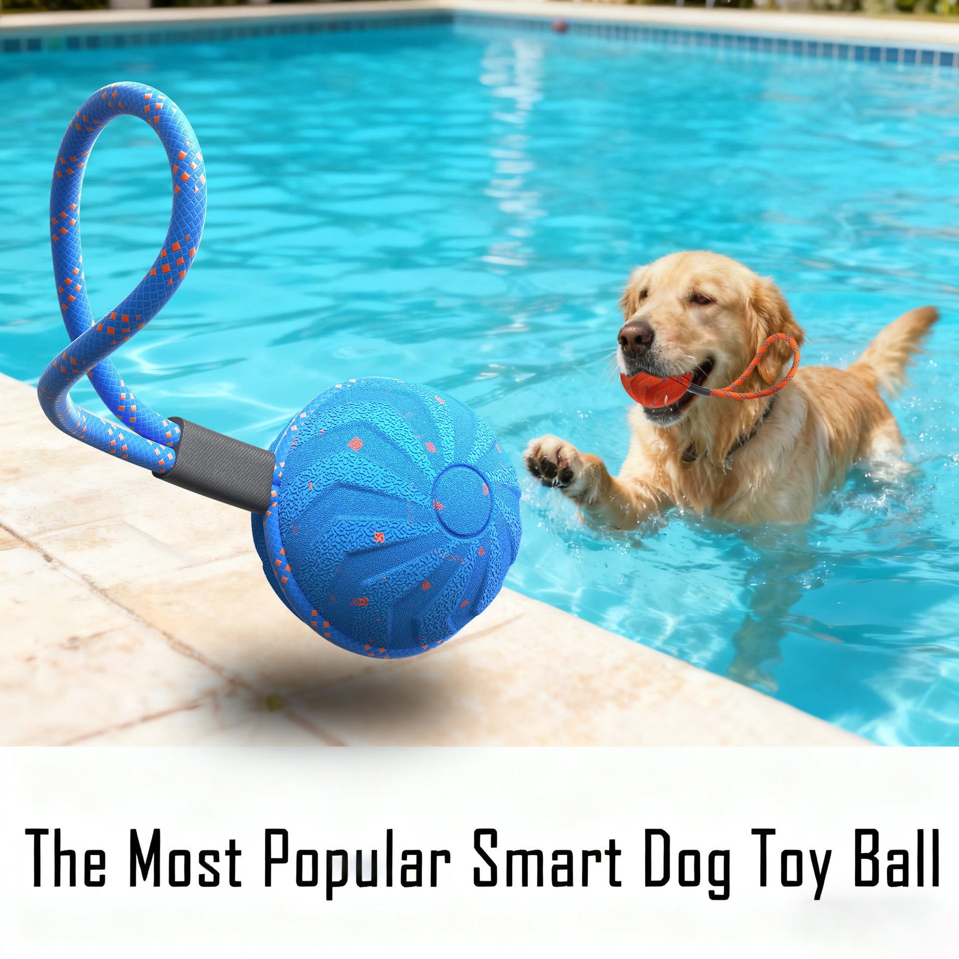 Pup Toy Balls: Chew-Resistant, Durable & Perfect for Fetch – Your Fur Baby’s New Obsession!