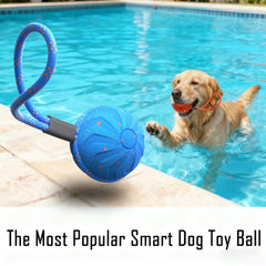 Pup Toy Balls: Chew-Resistant, Durable & Perfect for Fetch – Your Fur Baby’s New Obsession!